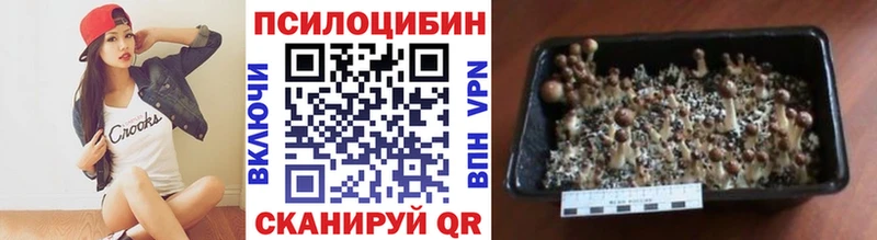Галлюциногенные грибы ЛСД  Купить закладки  Нягань 